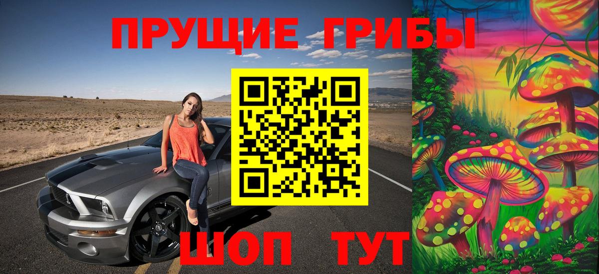 Псилоцибиновые грибы Psilocybine cubensis Щёлково
