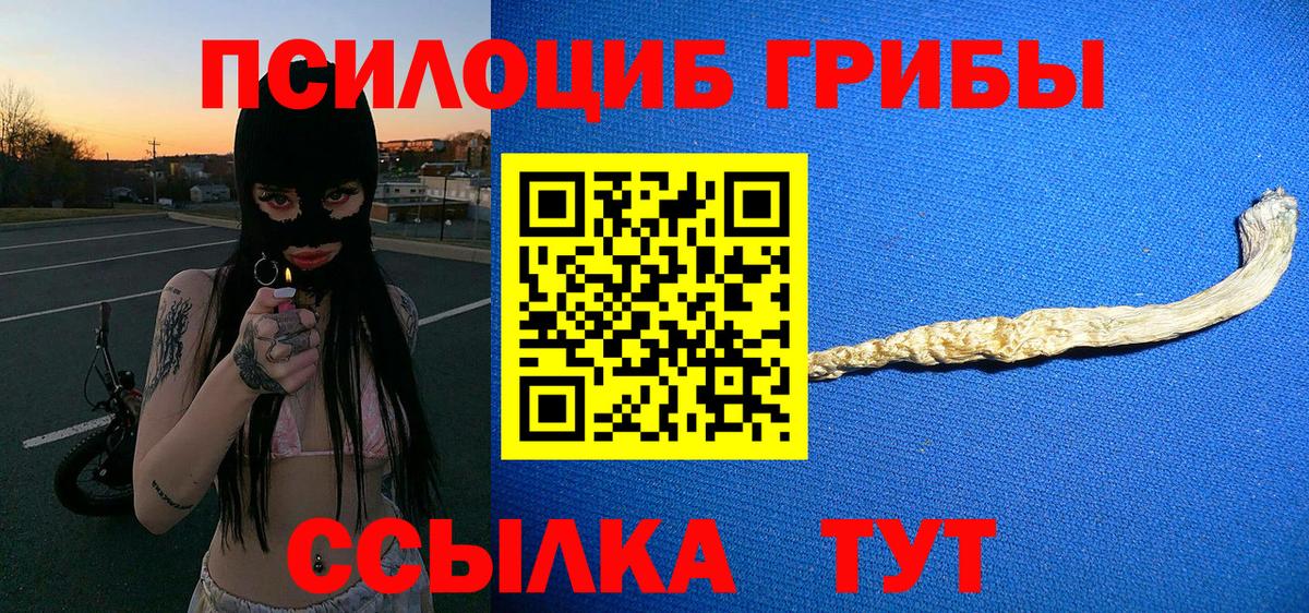 Галлюциногенные грибы прущие грибы  Псилоцибиновые грибы ЛСД  Вход с VPN  где купить наркоту  Щёлково 